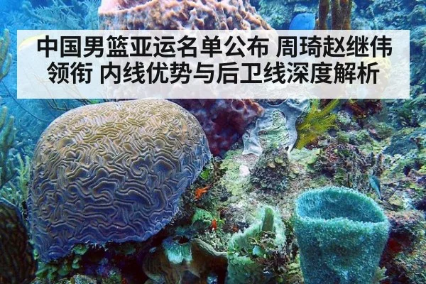 中国男篮亚运名单公布 周琦赵继伟领衔 内线优势与后卫线深度解析